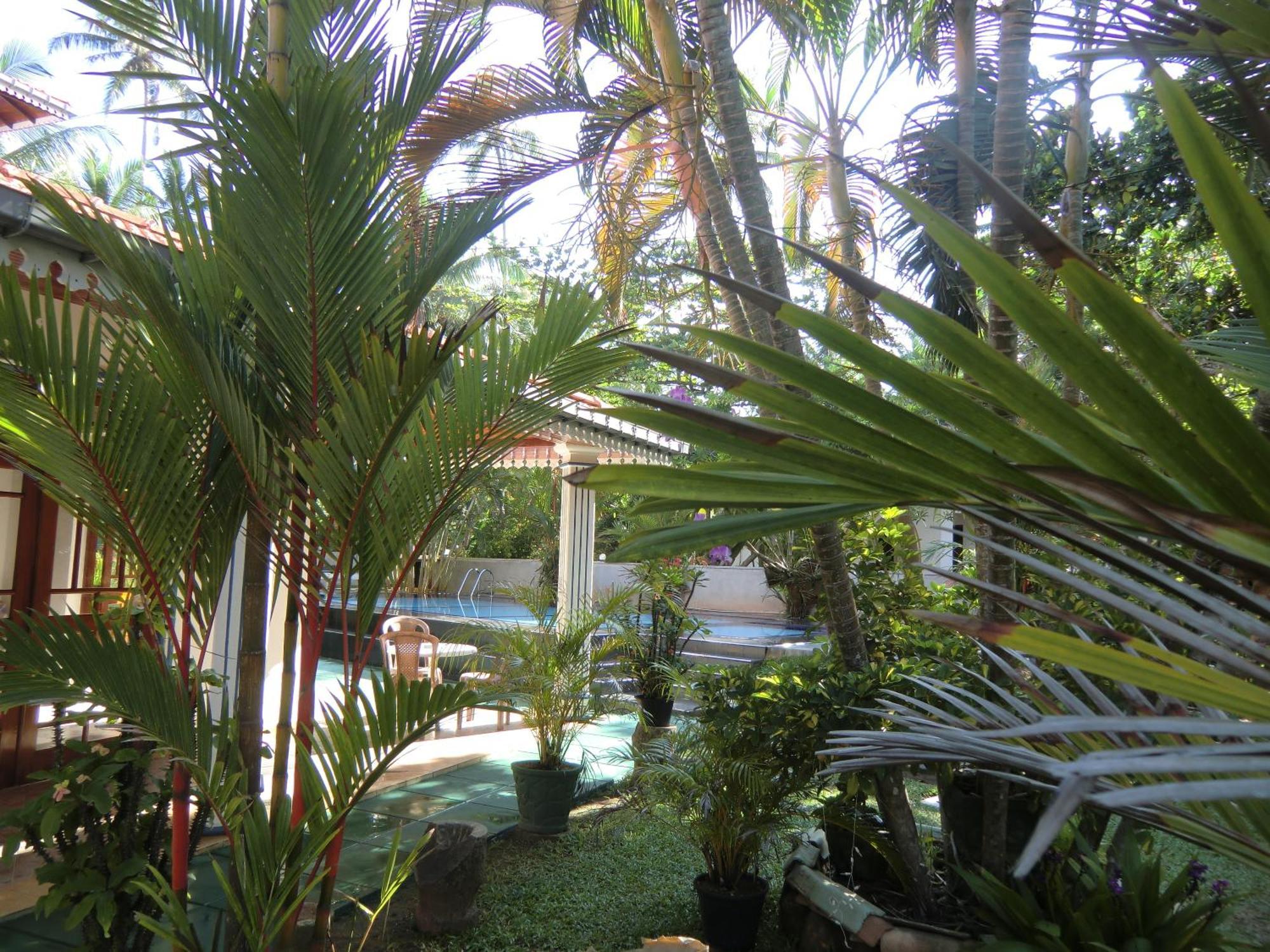 The Oasis Villa Хиккадува Экстерьер фото