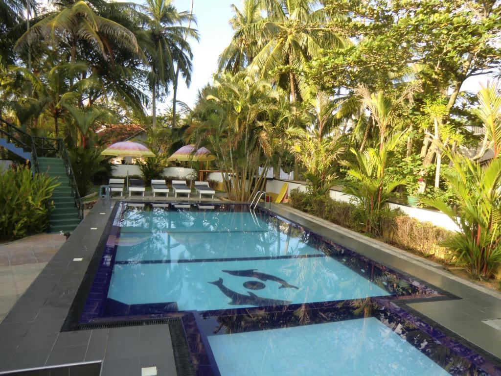 The Oasis Villa Хиккадува Экстерьер фото